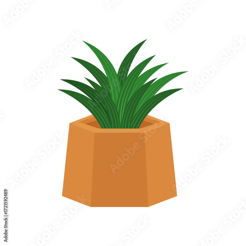 Pot Plant with Green Leaves in Brown Planter for Indoor Decoration