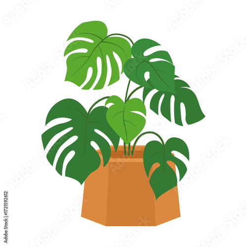 Green Monstera Plant in a Terracotta Pot Vector Illustration