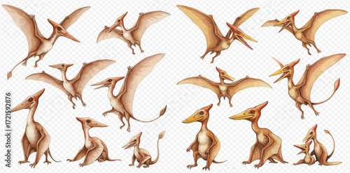 A diverse collection of cartoon Pterodactyls illustrated in various flying, standing, and resting poses.