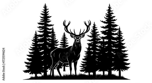 Regal deer with magnificent antlers silhouetted against a backdrop of towering pine trees