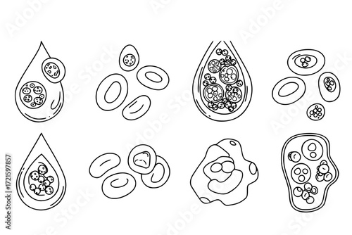 Blood Component Outline Icon Set – Red Blood Cell, White Blood Cell, Platelet, Plasma, Hemoglobin, Blood – Vector Line Icons for Medical, Healthcare, and Biology Illustrations