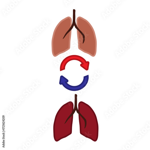 Lung Transplant