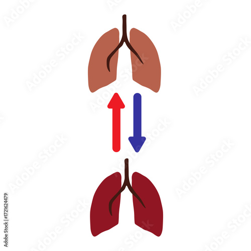 Lung Transplant