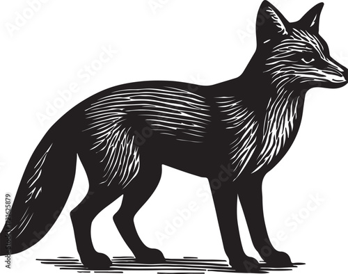 Vintage black fox illustration standing profile view detailed engraving style isolated on white background