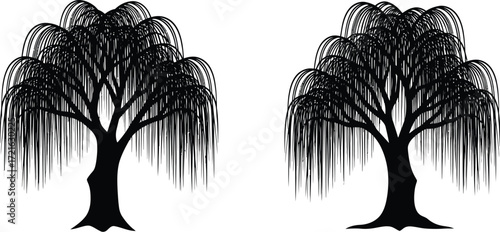 Two weeping willow tree silhouettes with graceful branches