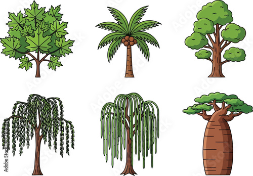 Tree illustrations including maple, palm, willow, and baobab