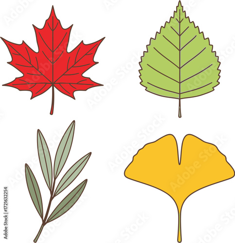 Four leaf types, including maple, birch, olive, and ginkgo