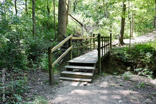 The old wood bridge in the forest on a summer day.