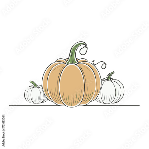 Illustration of pumpkins, hand-drawn outline, autumn harvest season