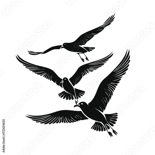 Flock of Flying Seagulls Black Silhouette Vector Illustration Graphic Design