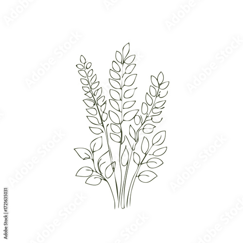Minimalist line drawing of a cluster of delicate green leaves and stems on a white background