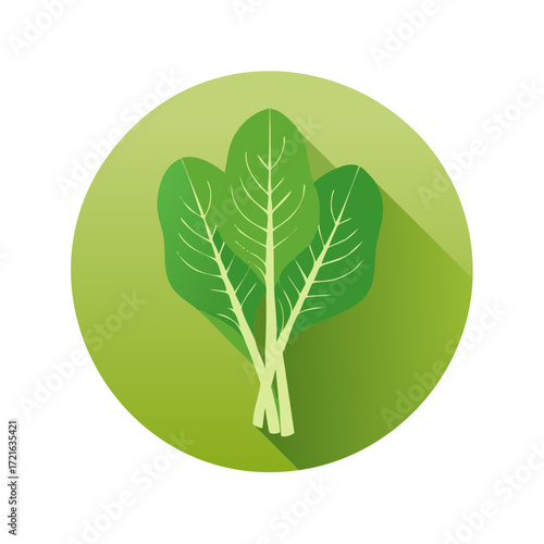 Illustration of spinach leaves within a round green shape, healthy eating concept.