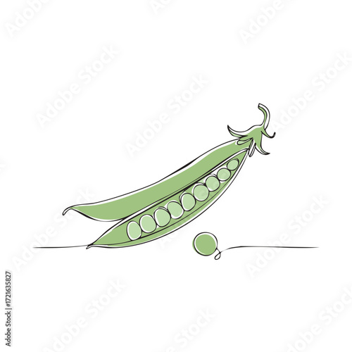 Single Line Art Drawing of a Green Pea Pod with Peas and One Pea