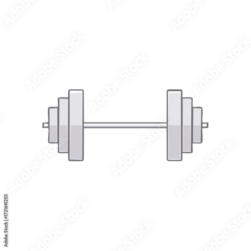 Minimalist Silver Barbell with Weighted Plates