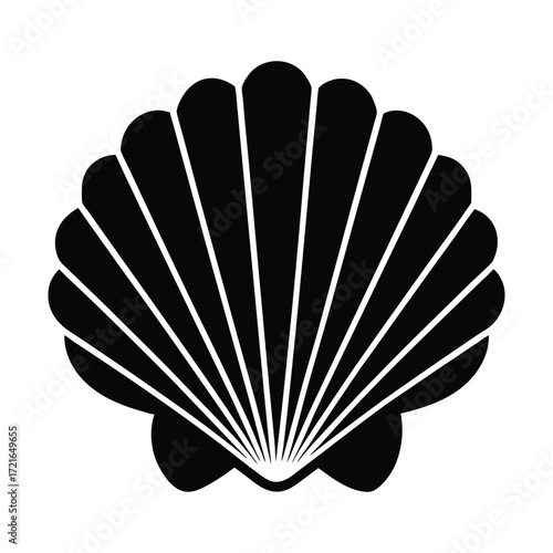 vector illustration of a fan scallop shell on white background