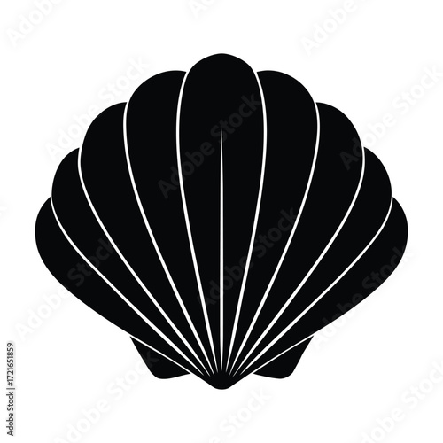wentletrap shell isolated on white
