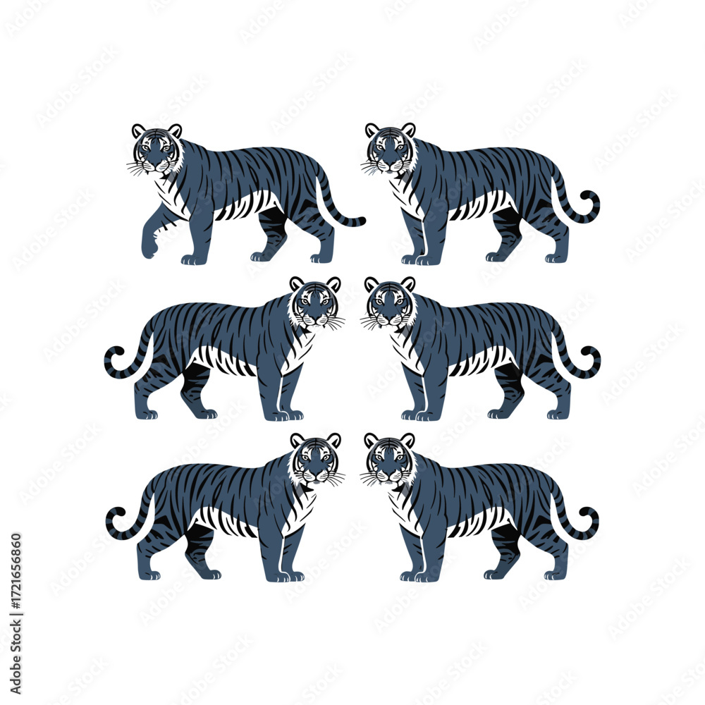 Obraz premium Set of Standing and Walking Tiger Poses in Vector Illustration