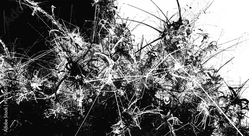Abstract chaotic black and white texture with tangled spiky lines and fragmented shapes, representing complexity, disruption, and modern digital aesthetics.