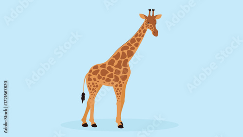 Giraffe isolated on blue background. Flat style vector illustration.