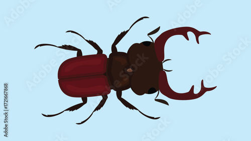 beetle insect design, vector illustration eps10 graphic.
