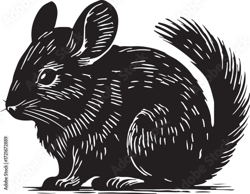 Black and white linocut illustration of a chinchilla sitting facing left with large ears and bushy tail