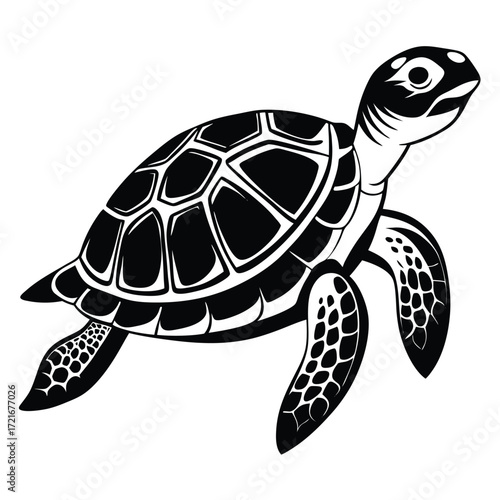turtle vector illustration