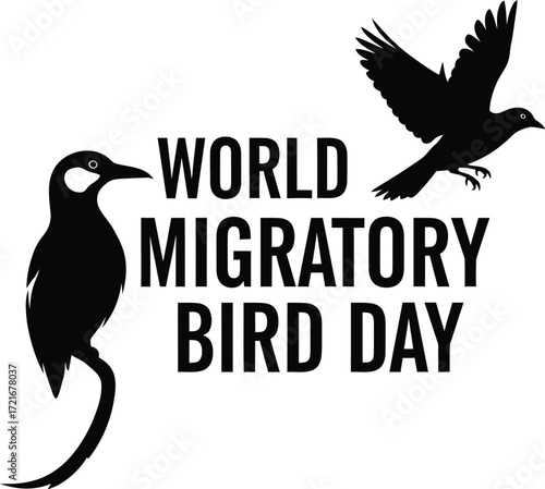Celebrating world migratory bird day with bird silhouettes in black