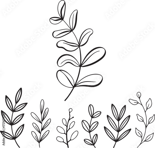 Black and white hand drawn botanical elements with leaves and stems leaf branch