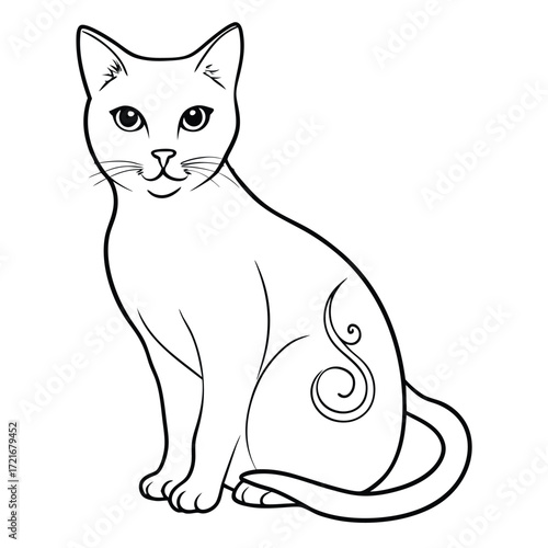 vector illustration of a cat animals