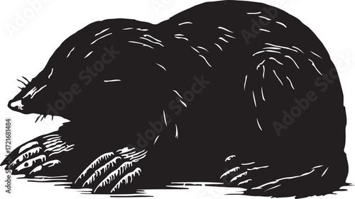 Black and white woodcut illustration of a mole with large paws sitting on a white background