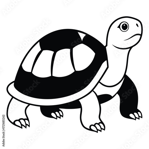 turtle vector illustration in white background 