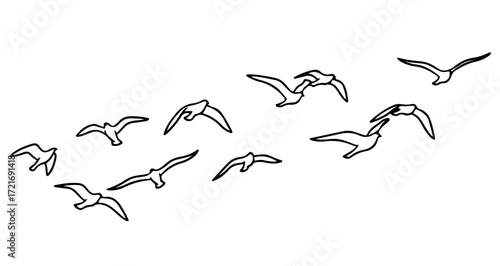 Illustration of a flock of seagulls flying in the sky, , in black and white