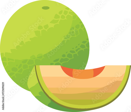 A cartoon illustration of a whole green melon and a slice of cantaloupe