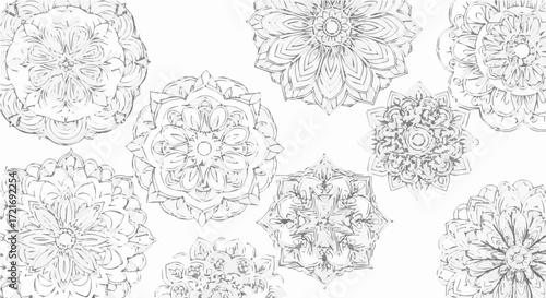 Collection of handdrawn mandalas intricate circular designs for relaxation and creativity