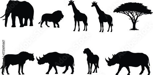African animal silhouettes, elephant, lion, giraffe, rhinoceros, camel, hyena, acacia tree, savanna wildlife, safari scene, nature vector, wild fauna, jungle creatures, black silhouettes, animal shape