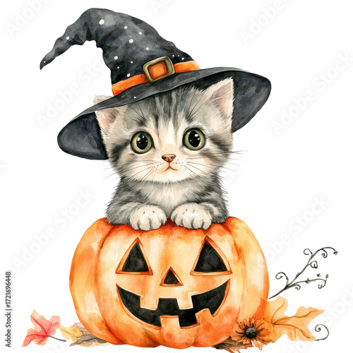 A cute kitten in a witch hat sits atop a carved pumpkin for Halloween.