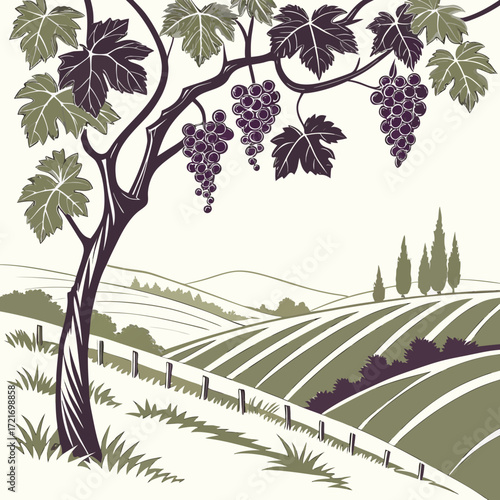 Vineyard landscape with ripe purple grapes hanging from a vine and rolling hills under a pale sky