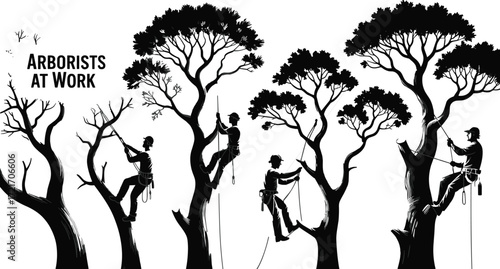Arborists at work trimming trees, silhouetted tree climbers, forest maintenance, professional tree care, outdoor landscaping, safety gear, climbing equipment, urban forestry, tree pruning