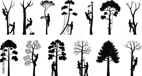 Silhouetted arborists trimming trees, tree climbing workers, forest maintenance, urban forestry, tree care professionals, safety gear, pruning tools, outdoor landscaping, nature conservation