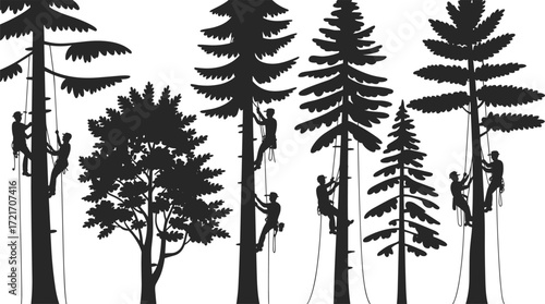 Silhouetted linemen repairing power lines, tree climbers in forest, utility workers on poles, electrical maintenance, outdoor work, safety gear, night repair, industrial scene, nature protection
