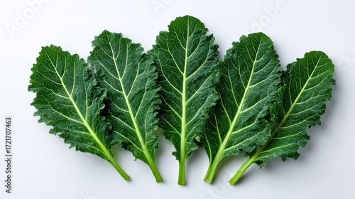Dark green kale leaves arranged on white backdrop