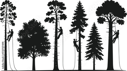 Silhouetted linemen repairing power lines, tree climbers in forest, utility workers on poles, electrical maintenance, outdoor work, safety gear, night repair, industrial scene, nature protection