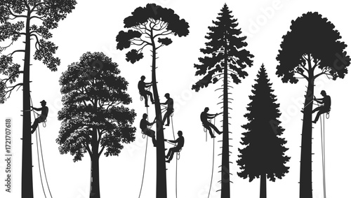 Silhouetted linemen repairing power lines, tree climbers in forest, utility workers on poles, electrical maintenance, outdoor work, safety gear, night repair, industrial scene, nature protection
