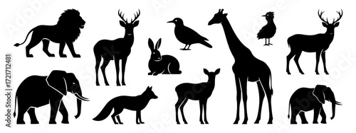 Animals silhouette set. Animal symbol collection.