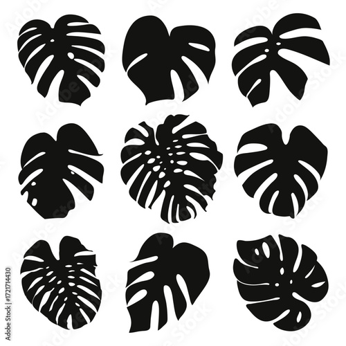 Black tropical palm leaves collection. Elegant monochrome nature set. Vector illustration