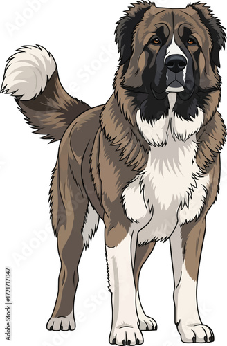 Caucasian Shepherd Dog standing facing front vector illustration