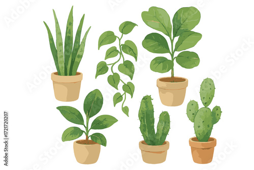 Collection of diverse green potted houseplants including snake plant, pothos, fiddle leaf fig, and cacti