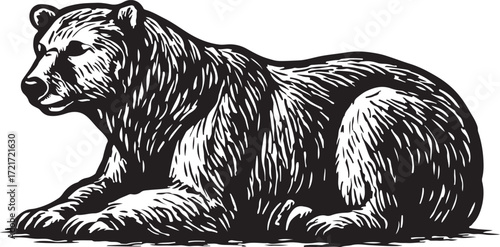 Detailed black and white woodcut illustration of a powerful grizzly bear resting in a seated position looking to the left