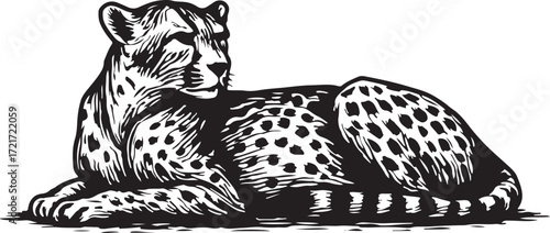 Detailed woodcut illustration of a majestic cheetah resting peacefully with its spotted coat and striped tail on a white background
