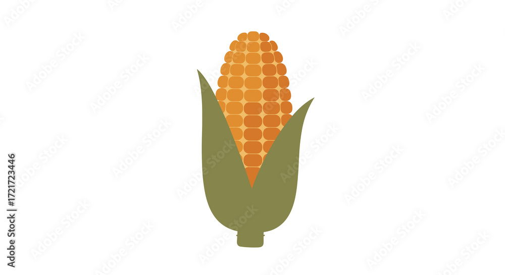 Obraz premium corn isolated on white background